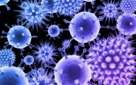 Створено клітини, які полюватимуть на мікробів