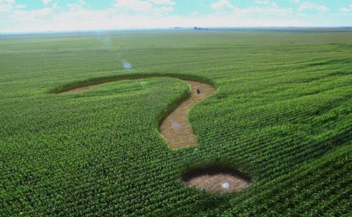 Мораторій на продаж землі оскаржили в Конституційному суді Мораторій на продаж землі оскаржили в Конституційному суді