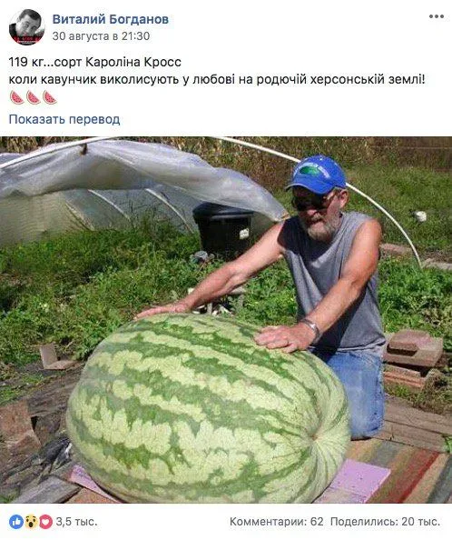 Кавун Херсон фейк