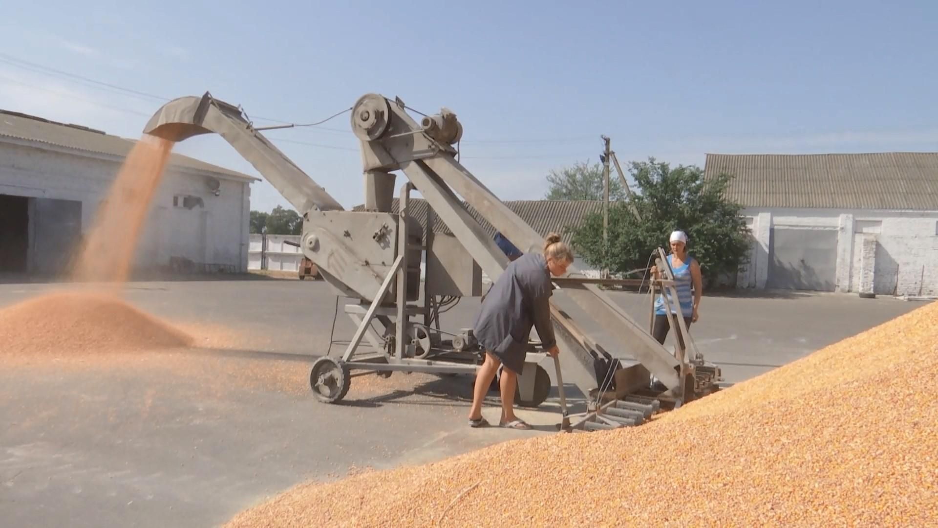 Розвиток СТОВ "Богданівське": як законні власники кардинально оновили фірму Розвиток СТОВ "Богданівське": як законні власники кардинально оновили фірму