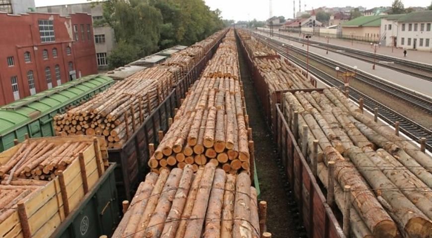 Луценко домігся скасування парламентом мораторію на вивезення лісу, – ЗМІ