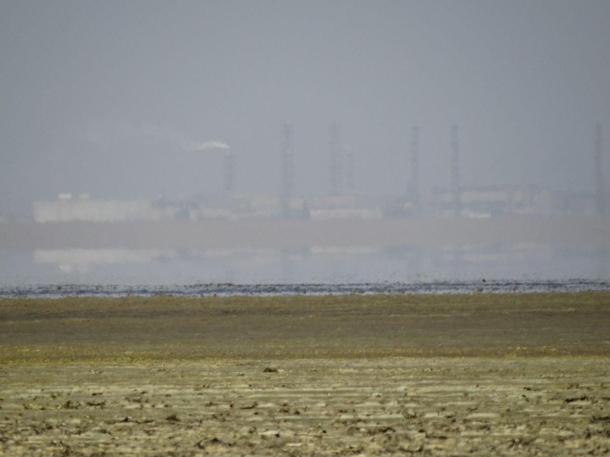 Хімвикид в Армянську: На Херсонщині отруїлися 37 прикордонників Хімвикид в Армянську: На Херсонщині отруїлися 37 прикордонників