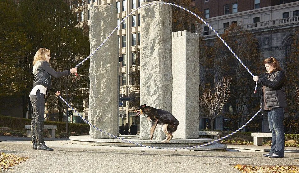 Книга рекордів Гіннеса – 2019 Книга рекордів Гіннеса – 2019