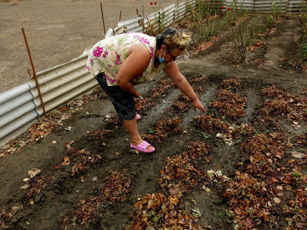 Хіматака в окупованому Криму: з'явилися нові сумні фото