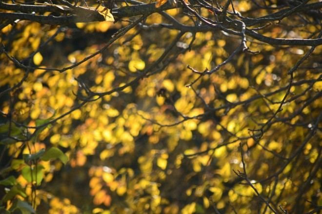 Погода 12 вересня 2018 Україна: по прогнозу сонячно та тепло Погода 12 вересня 2018 Україна: по прогнозу сонячно та тепло