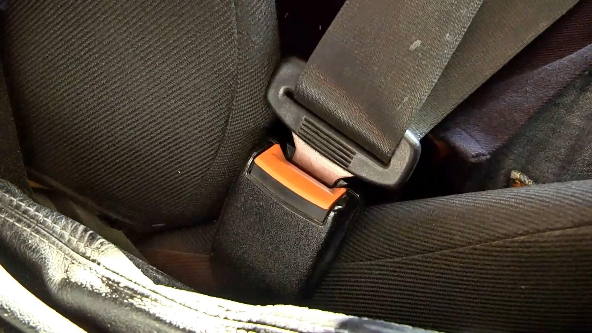 Действительно ли один ремень может спасти жизнь нескольких пассажиров: статистика Действительно ли один ремень может спасти жизнь нескольких пассажиров: статистика