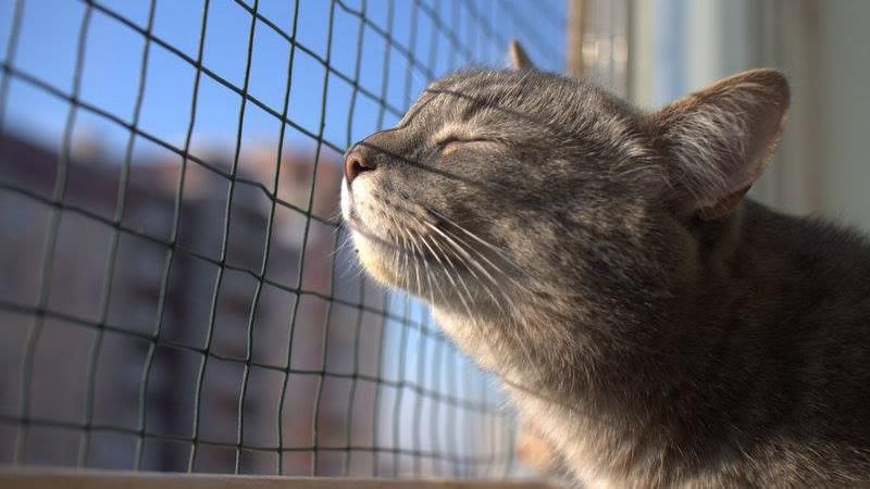 Погода 14 вересня 2018 Україна: синоптики прогнозують тепло Погода 14 вересня 2018 Україна: синоптики прогнозують тепло