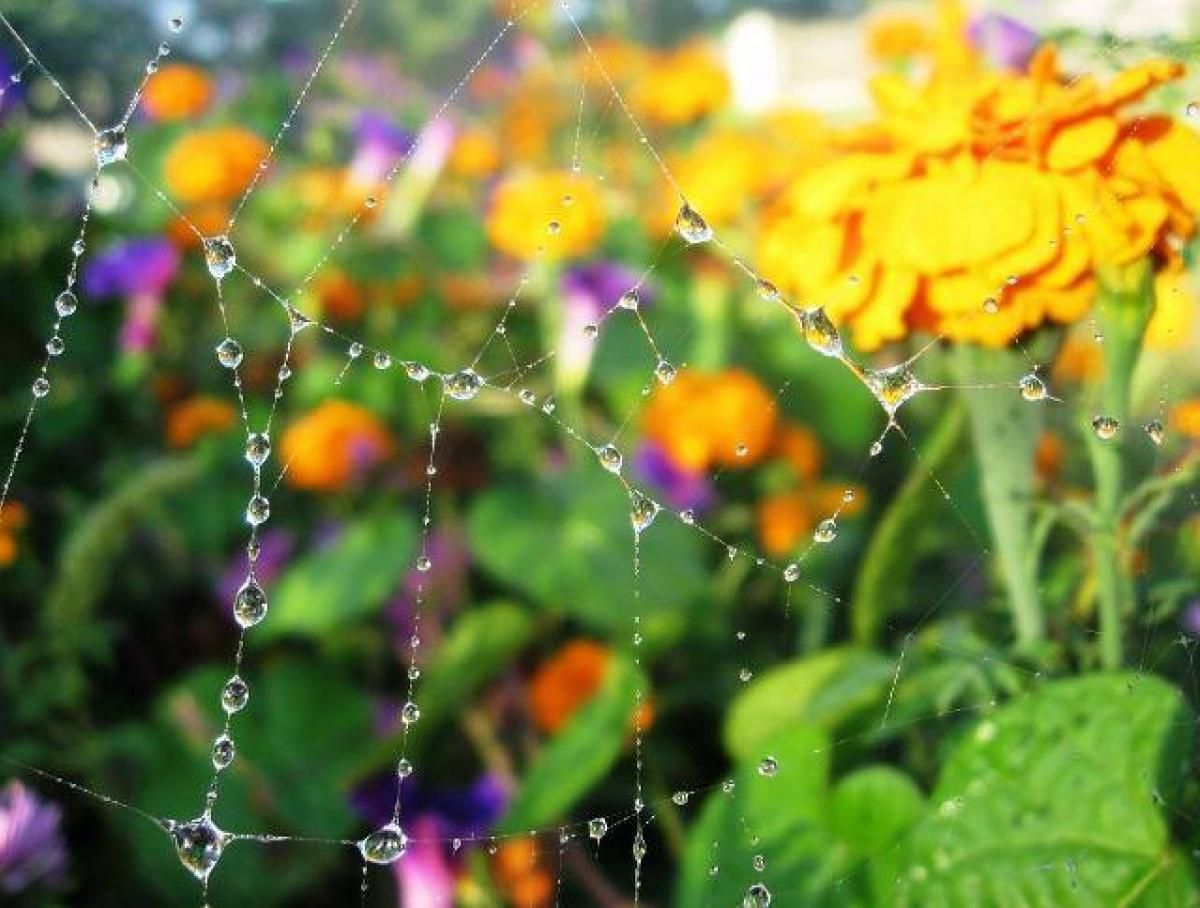 Прогноз погоди на 17 вересня 2018 від синоптиків - Україна Прогноз погоди на 17 вересня 2018 від синоптиків - Україна