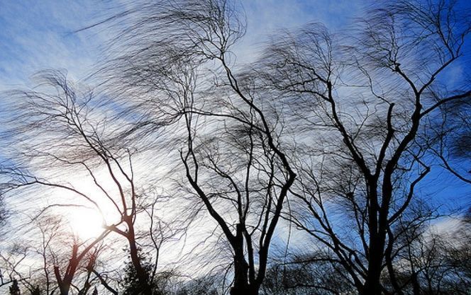 "Закрыть окна, не находиться вблизи деревьев": киевлян предупредили о мощный ветер "Закрыть окна, не находиться вблизи деревьев": киевлян предупредили о мощный ветер