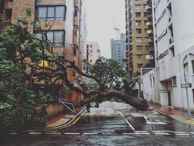 Вибиті шибки, повалені дерева та потоп: Гонконг віч-на-віч зустрівся із руйнівним тайфуном