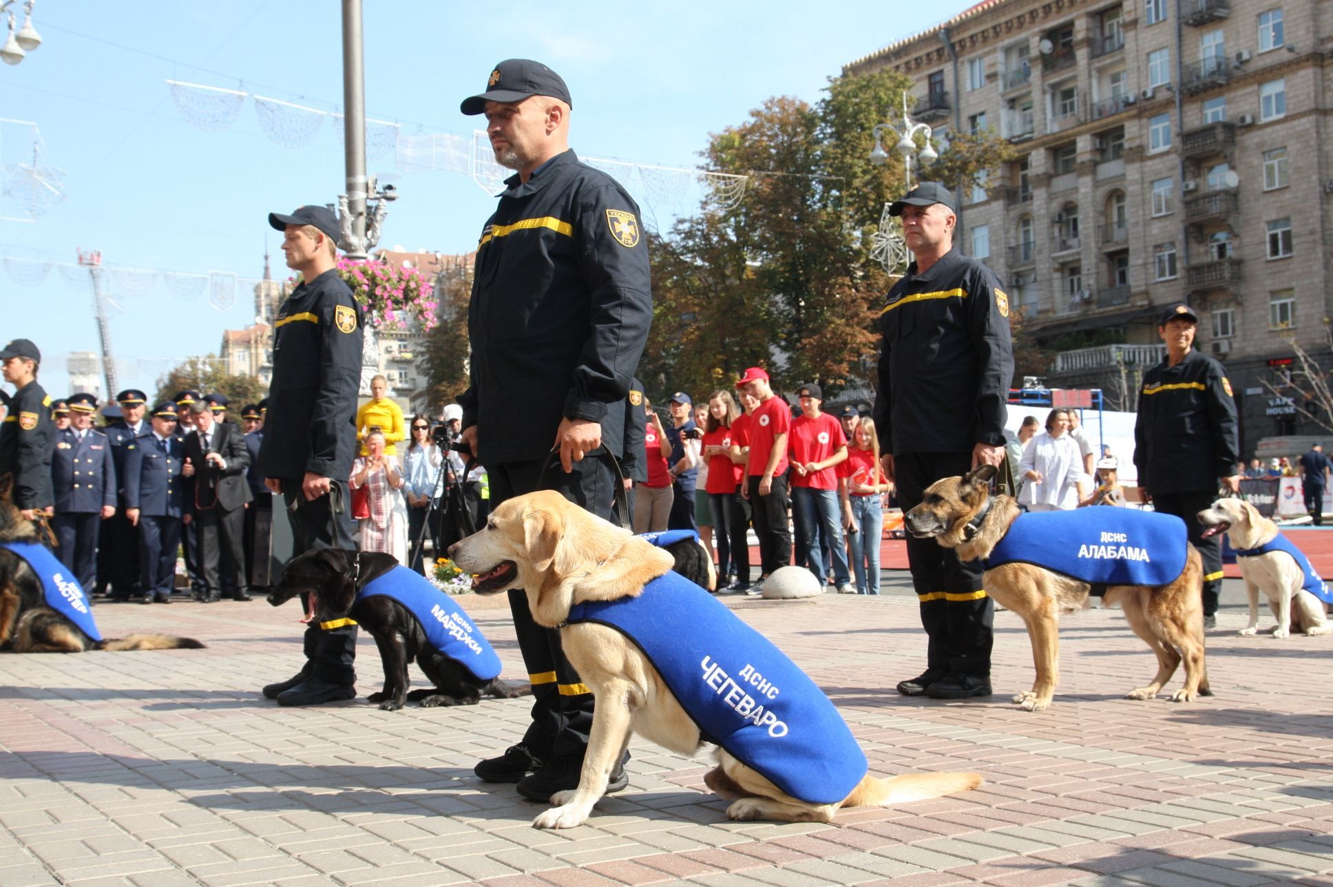 На Хрещатику провели "на пенсію" собак-рятувальників: зворушливі фото