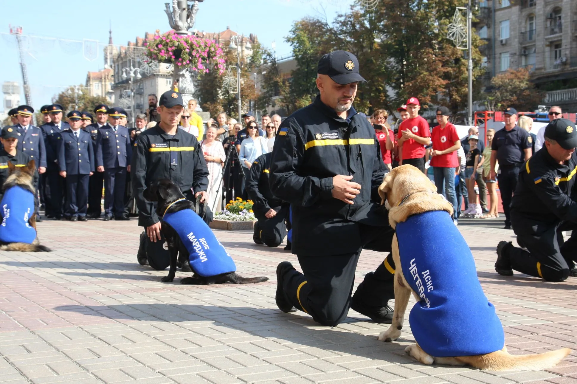 собаки нагородження