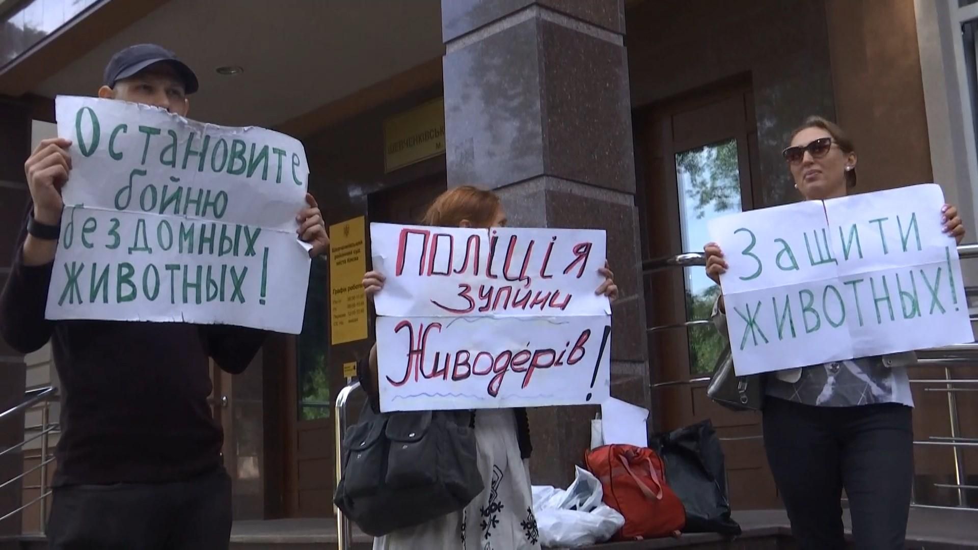 Отруєння собак у Києві: чоловіка, якого спіймали на гарячому, визнали невинним Отруєння собак у Києві: чоловіка, якого спіймали на гарячому, визнали невинним