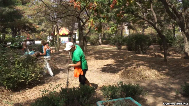 На земле так много листьев, будто уже конец осени На земле так много листьев, будто уже конец осени