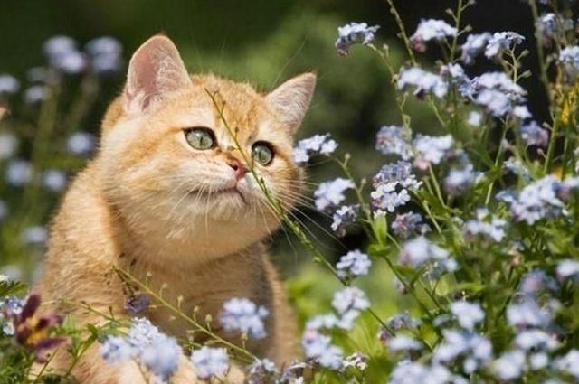 Погода 19 сентября 2018 Украина - везде по летнему жарко Погода 19 сентября 2018 Украина - везде по летнему жарко