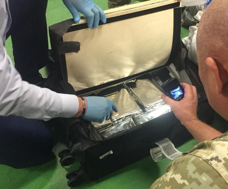 Кокаїн у валізі: у "Борисполі" службовий собака відшукав багаж із наркотиками