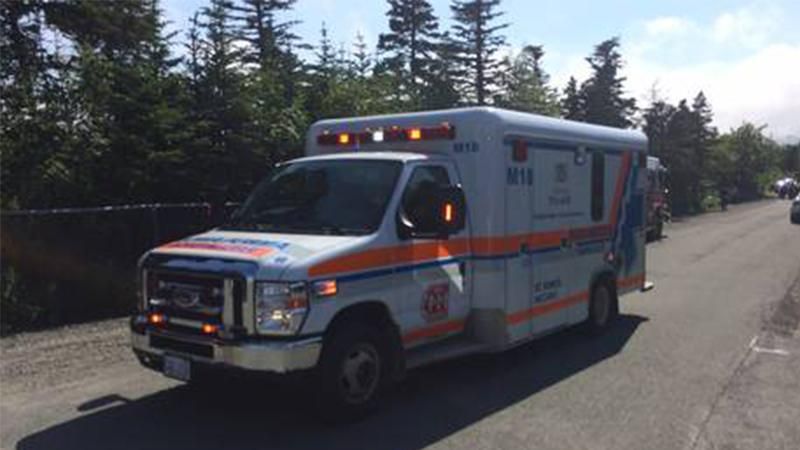 В Канаде школьники отравились спреем от медведей В Канаде школьники отравились спреем от медведей