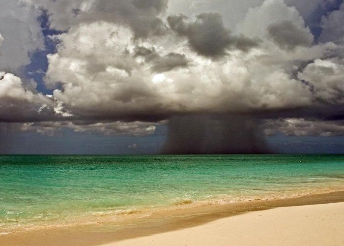 Ураган "Флоренс": две женщины с проблемами психики утонули в полицейском фургоне Ураган "Флоренс": две женщины с проблемами психики утонули в полицейском фургоне