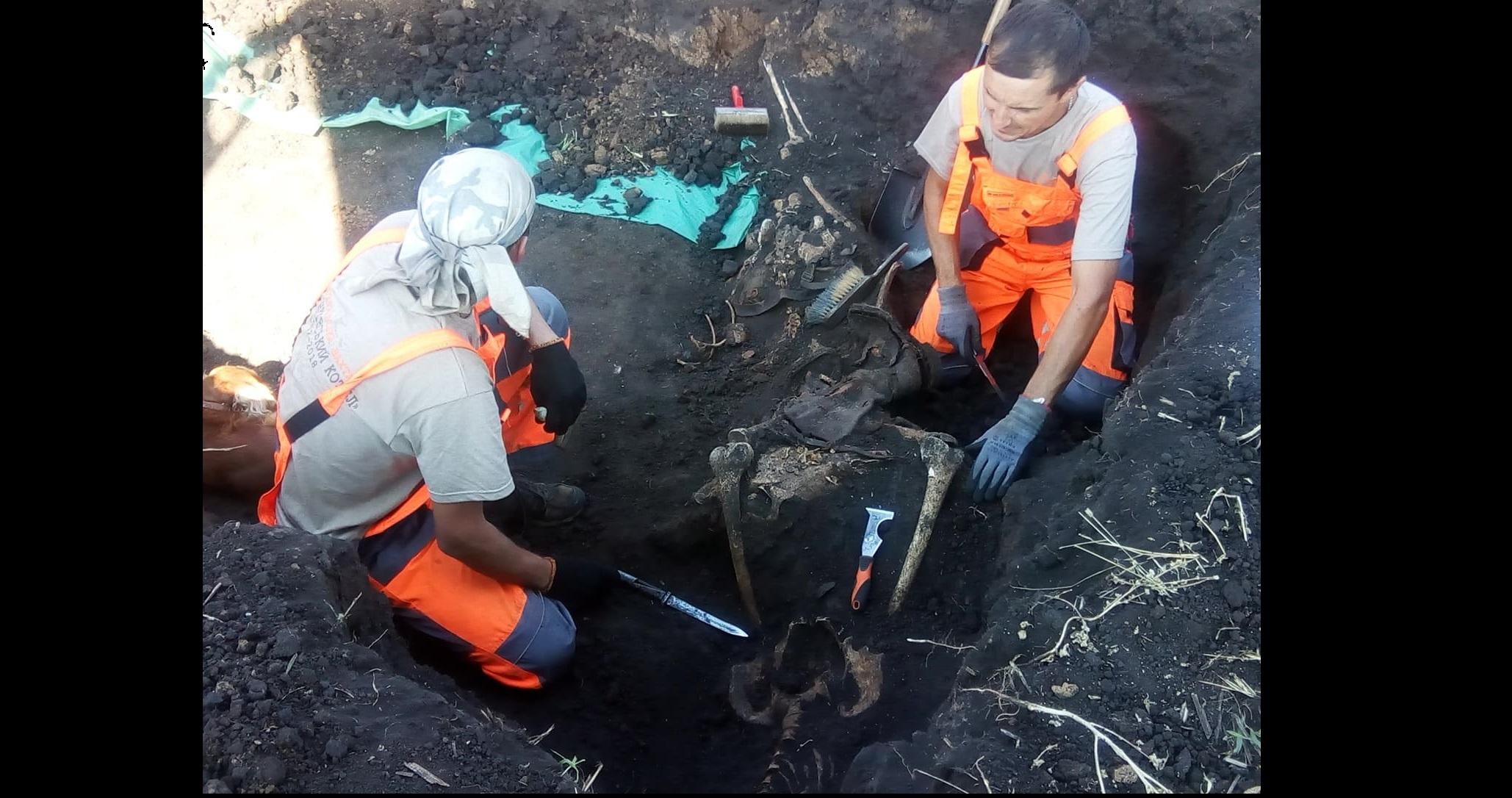 На Харьковщине нашли останки полусотни неизвестных бойцов времен Второй мировой войны