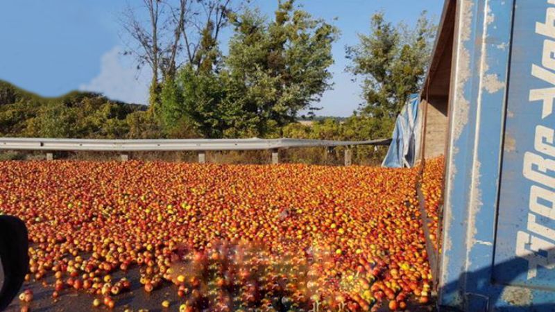 Під Києвом перекинулася фура з яблуками: яскраві фото Під Києвом перекинулася фура з яблуками: яскраві фото