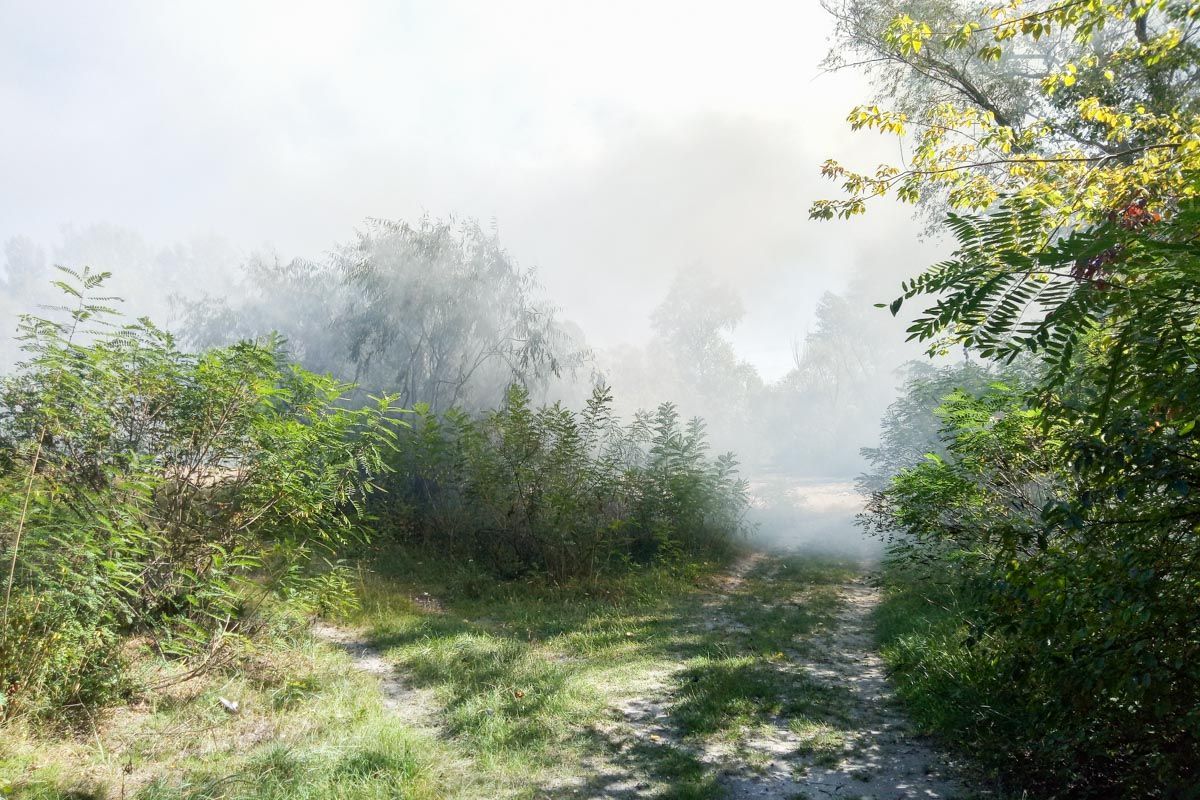 Крупный пожар на Русановских садах произошел в Киеве: фото, видео