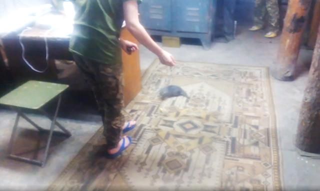 Как выглядят будни украинской армии в перерывах между боями: трогательное видео Как выглядят будни украинской армии в перерывах между боями: трогательное видео