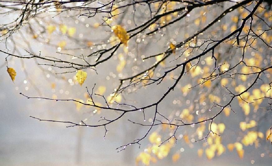 Погода 25 сентября 2018 Украина: какой прогноз дает синоптик Погода 25 сентября 2018 Украина: какой прогноз дает синоптик