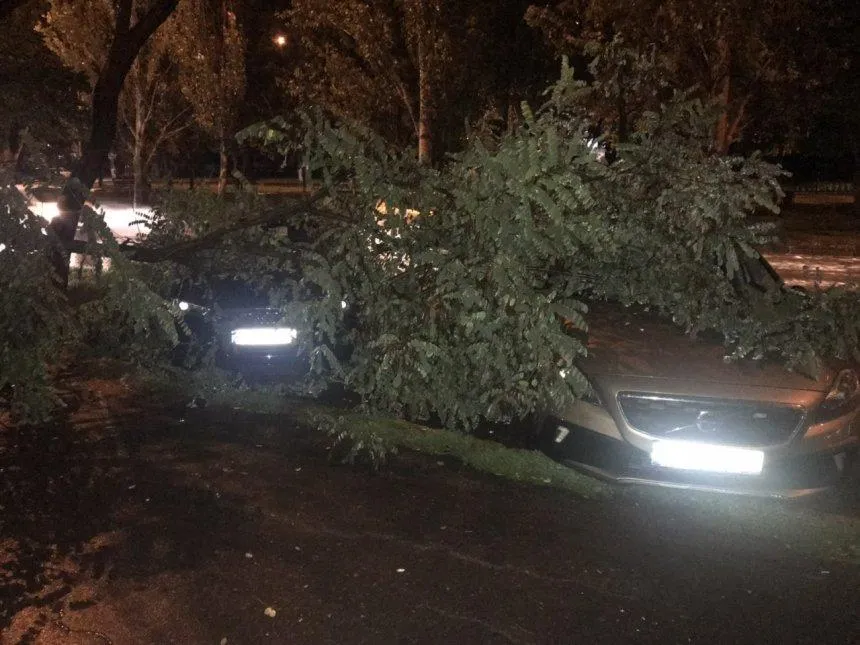 Негода Миколаїв дощ погода дерева авто