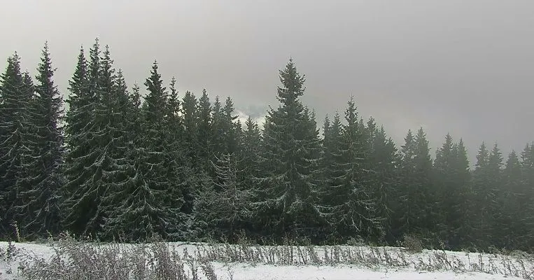 Карпати сніг перший сніг Буковель Карпати сніг перший сніг Буковель