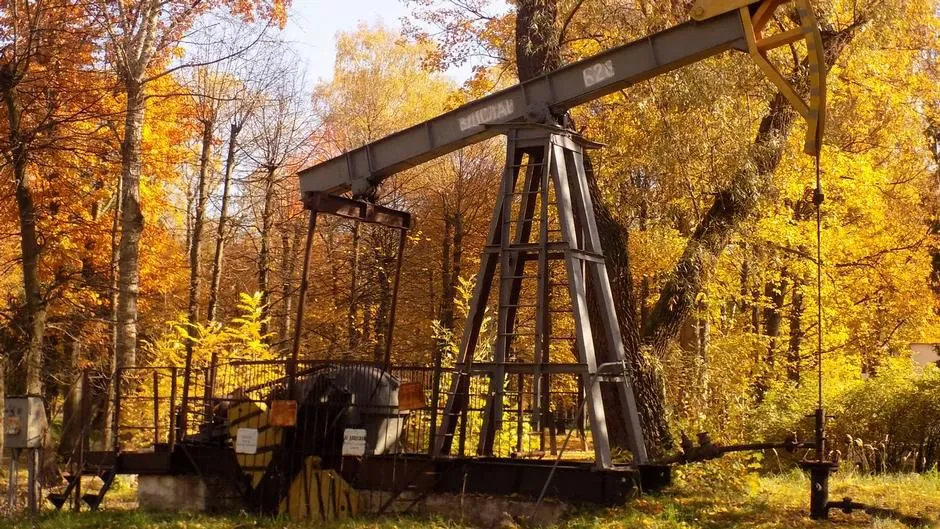 борислав борислав