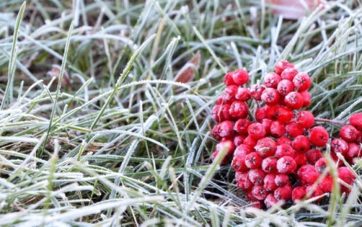 Погода 26 вересня 2018 Україна - синоптики обіцяють заморозки Погода 26 вересня 2018 Україна - синоптики обіцяють заморозки