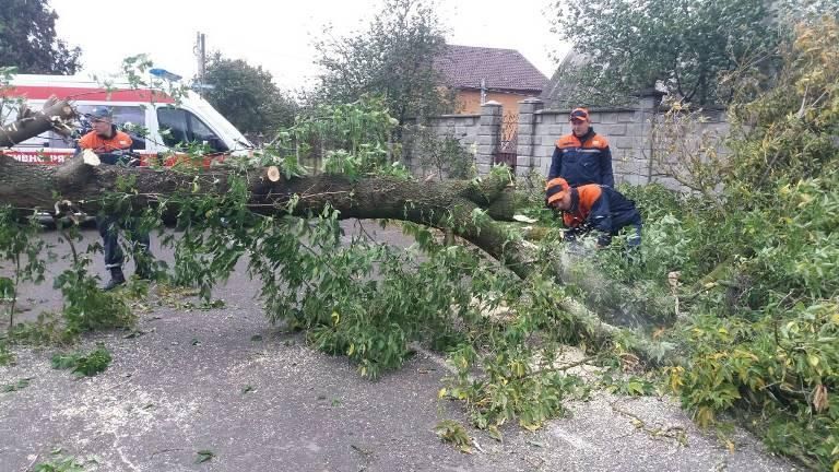 Смертельная стихия: на Львовщине в результате урагана погиб человек