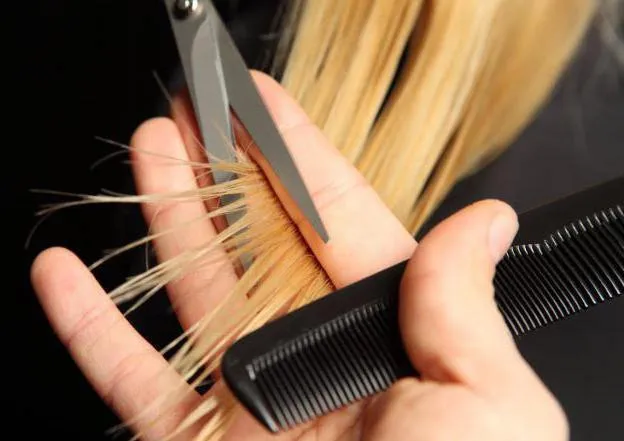 стрижки місяць стрижки місяць