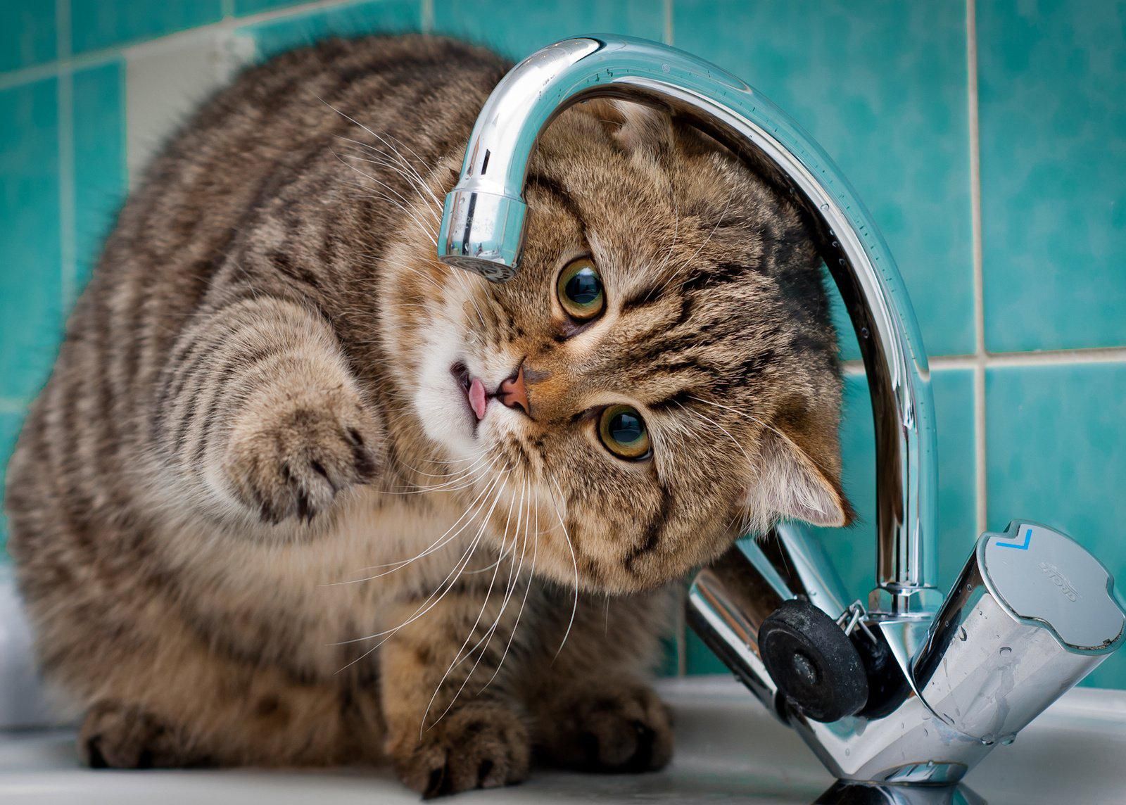 Часть Киева на несколько дней останется без воды: список улиц Часть Киева на несколько дней останется без воды: список улиц