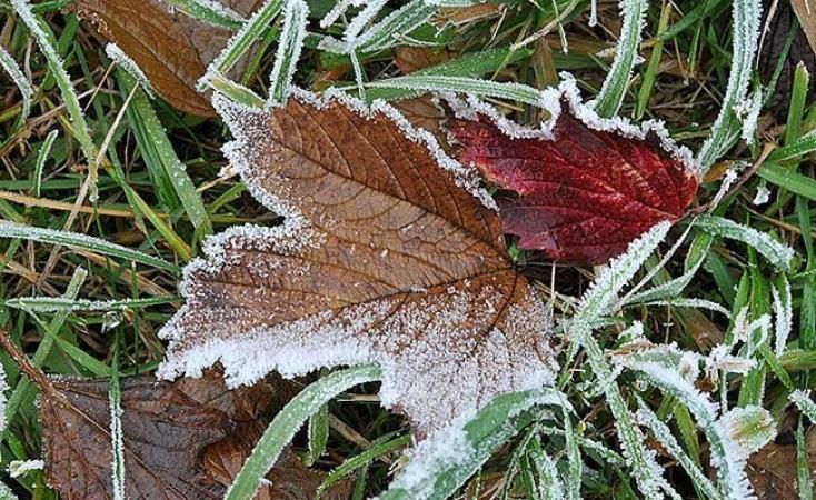 В Украине ожидаются заморозки: температура упадет до -5 градусов В Украине ожидаются заморозки: температура упадет до -5 градусов