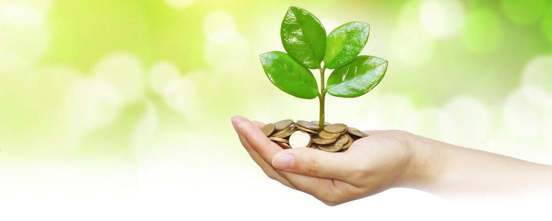 Експерт пояснила, як уникнути мільйонних витрат екологічного податку не за призначенням Експерт пояснила, як уникнути мільйонних витрат екологічного податку не за призначенням