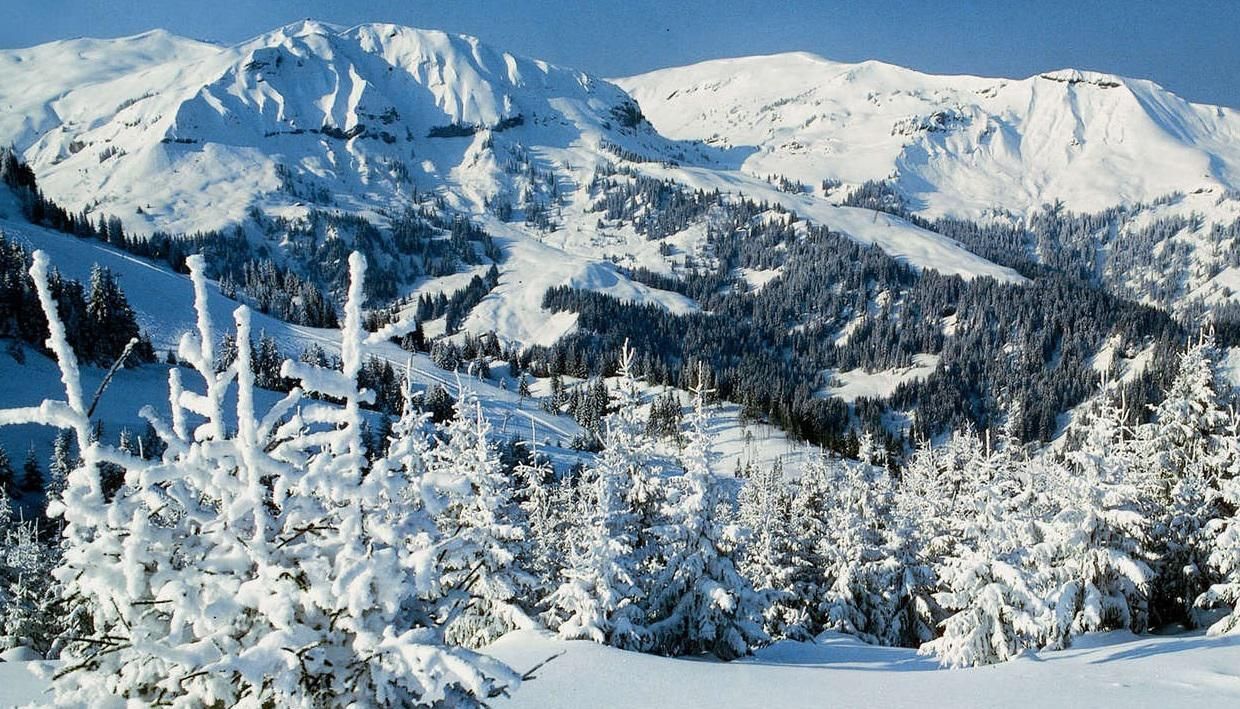 Какой будет зима 2018 - 2019 в Украине: погода от синоптика Какой будет зима 2018 - 2019 в Украине: погода от синоптика