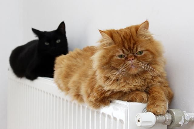 Опалювальний сезон 2018 в Україні може початися раніше - дати Опалювальний сезон 2018 в Україні може початися раніше - дати