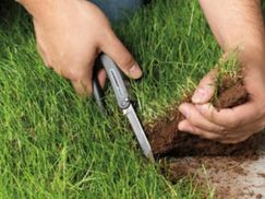 ТОП-4 найвідоміші схеми незаконного захоплення земельних ділянок