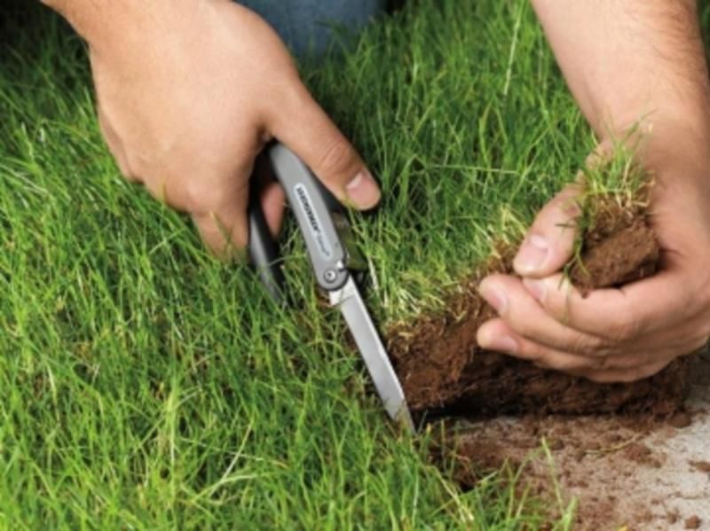 ТОП-4 самые известные схемы незаконного захвата земельных участков ТОП-4 самые известные схемы незаконного захвата земельных участков