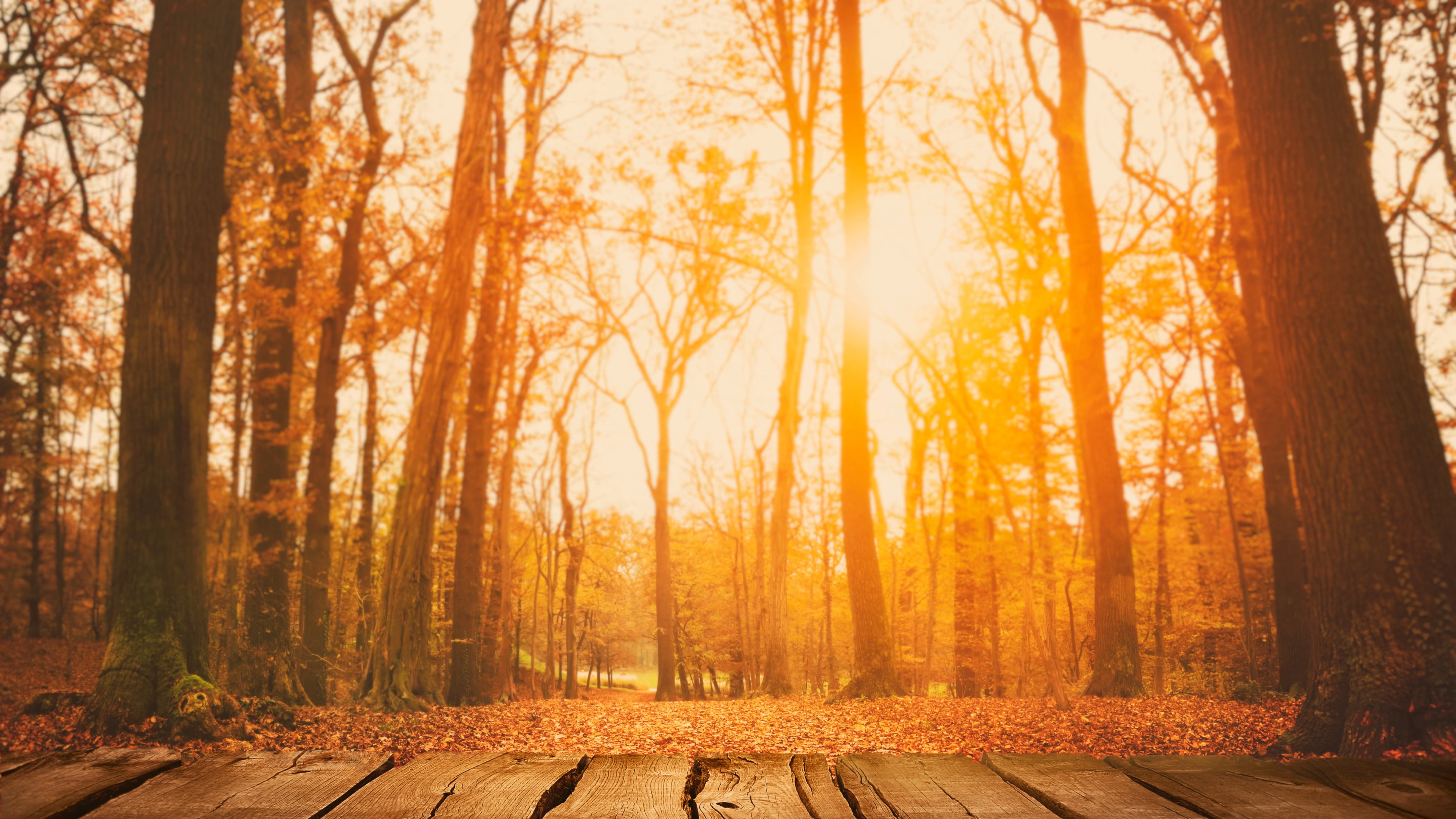 Прогноз погоды 30 сентября 2018 Украина - прогноз синоптиков Прогноз погоды 30 сентября 2018 Украина - прогноз синоптиков