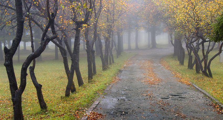 Погода 29 вересня 2018 Україна - синоптик обіцяє похолодання Погода 29 вересня 2018 Україна - синоптик обіцяє похолодання