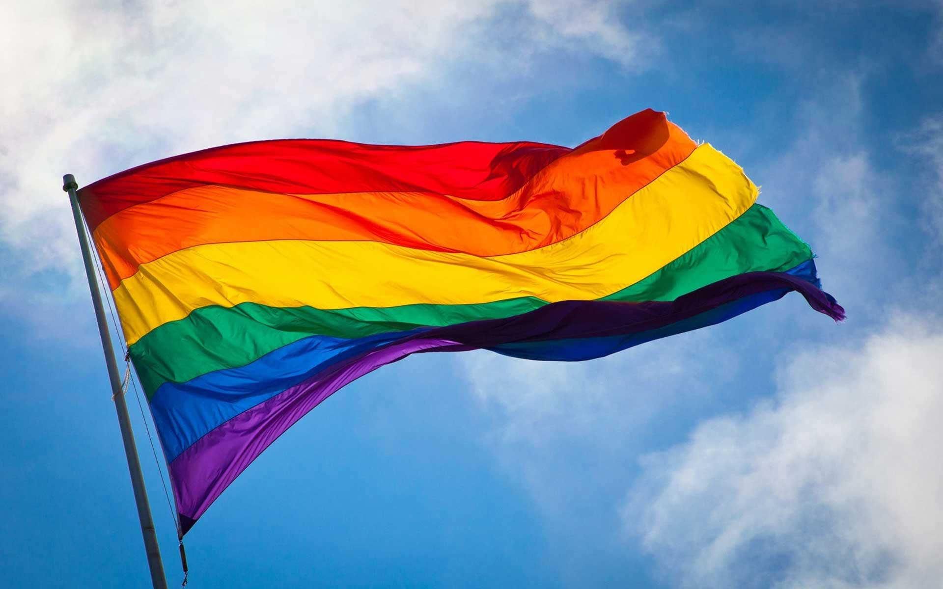 В Румынии гей-пары признали семьями - 24 Канал