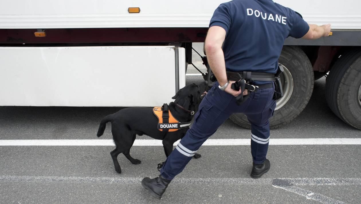Вантажівка з кокаїном у Франції не українська: уточнення