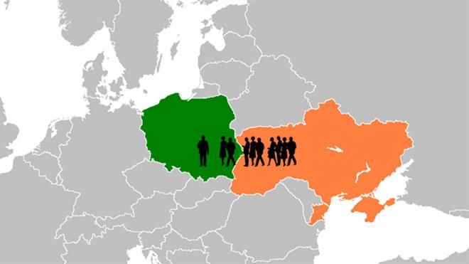 Уже не уборщики и официанты: кем украинцы теперь работают в Польше Уже не уборщики и официанты: кем украинцы теперь работают в Польше