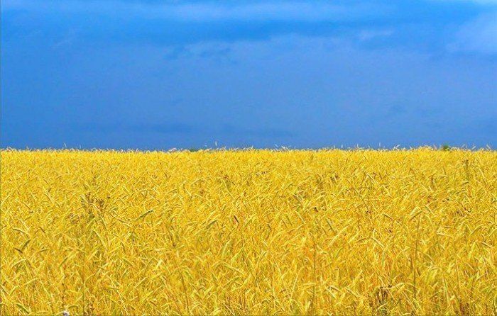 Новий законопроект про мову – це... Ваша думка Новий законопроект про мову – це... Ваша думка