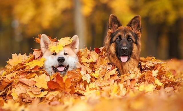 Погода 6 жовтня 2018 Україна: сонячно та по-осінньому тепло Погода 6 жовтня 2018 Україна: сонячно та по-осінньому тепло