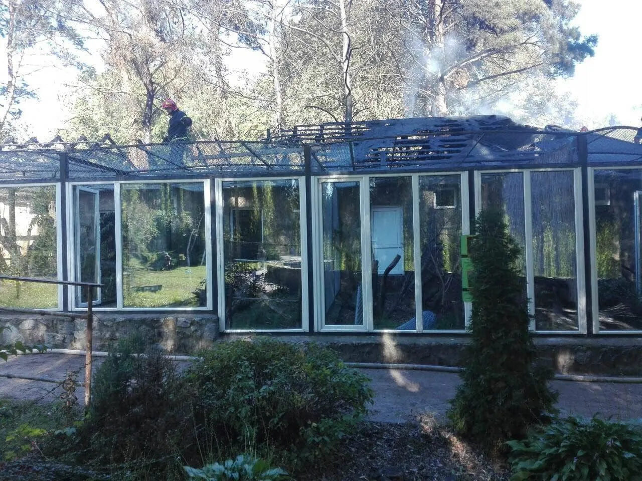 Черкаси Зоопарк Пожежа Черкаси Зоопарк Пожежа