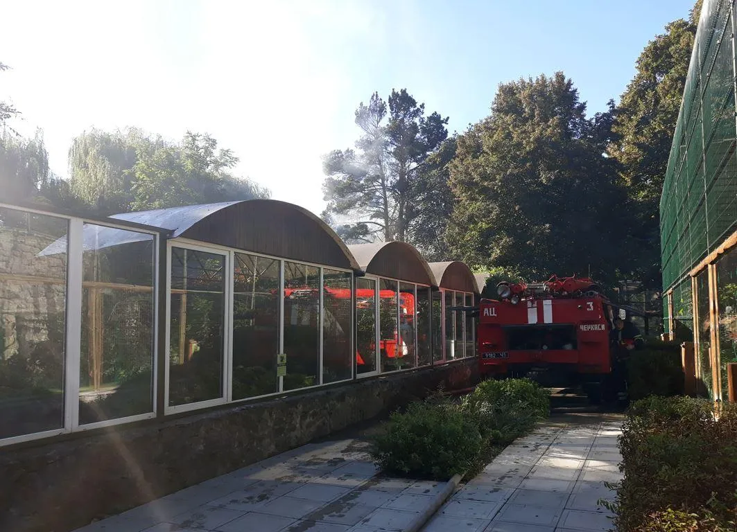 Черкаси Зоопарк Пожежа Черкаси Зоопарк Пожежа