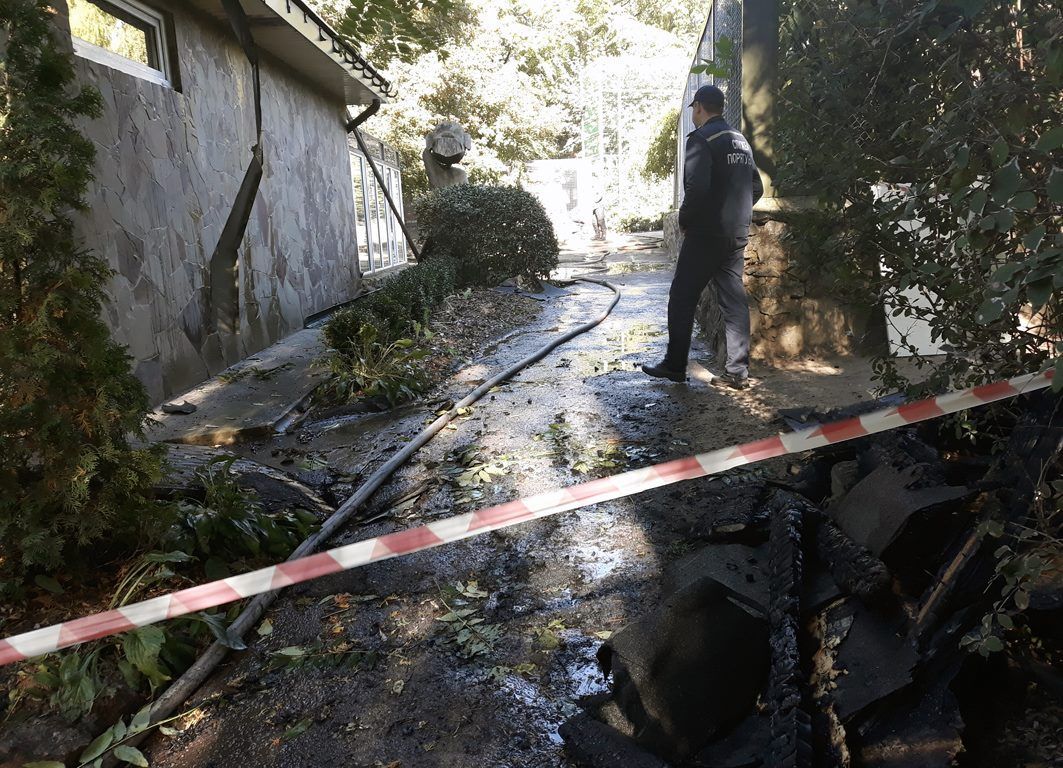 В Черкассах из горящего зоопарка спасали птиц и обезьян: фото